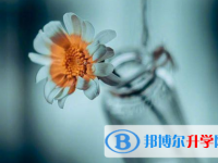 瀘州2021年怎么寫中考自薦書