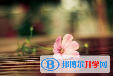 瀘州2021年什么時候中考