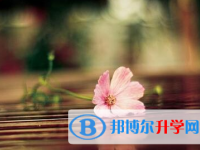 瀘州2021年什么時候中考