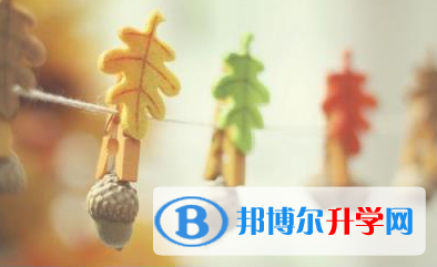 瀘州2021年什么是中考調劑生