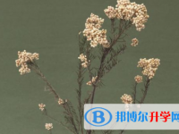 瀘州2021年孩子中考家長怎么做