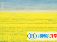 瀘州2021年孩子因病錯過中考怎么辦