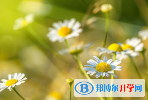 瀘州2021年中考報名是哪個網(wǎng)站