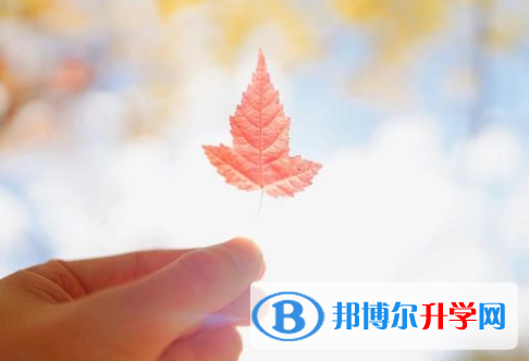 瀘州2021年中考報(bào)名網(wǎng)站登錄