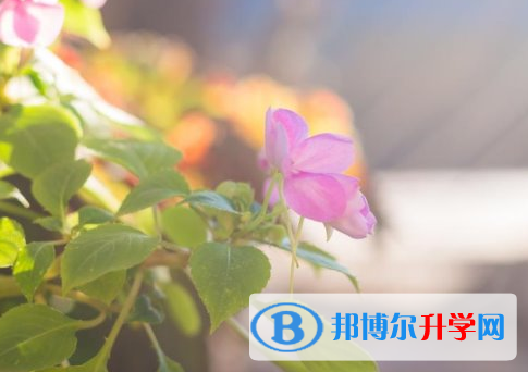 瀘州2021年中考報名網址