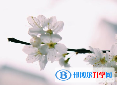 瀘州2021年中考報名系統(tǒng)網(wǎng)址
