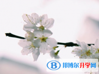 瀘州2021年中考報名系統網址