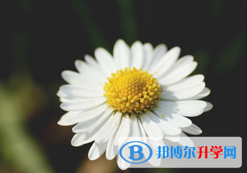 瀘州2021年優志愿中考版
