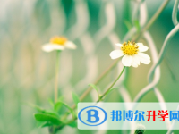瀘州2021年中考調劑志愿