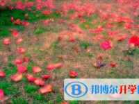 瀘州2021年中考調劑志愿是什么意思