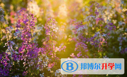 瀘州2021年中考志愿可以填幾個(gè)