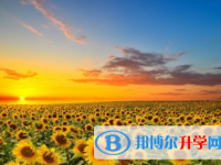 瀘州2021年中考志愿如何填報