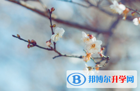 德陽2021年查詢中考成績上哪個網(wǎng)站