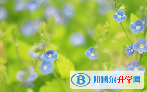  德陽2021年網上查詢中考成績