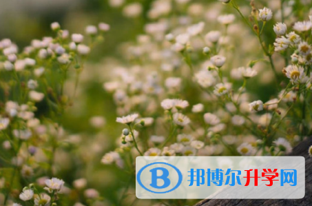 德陽2021年怎樣對(duì)待中考成績