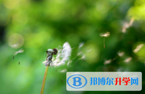 德陽2021年中考報名查詢