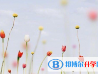 德陽2021年中考成績查詢入口
