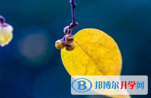 德陽2021年中考成績查詢系