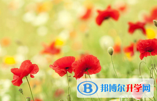 德陽2021年中考成績什么時間知道