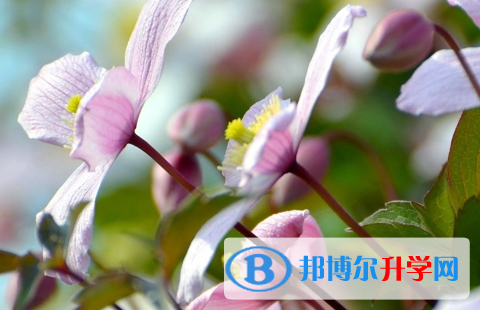 德陽(yáng)2021年中考成績(jī)?cè)趺床樵? width=
