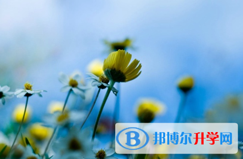 德陽2021年中考成績怎么算