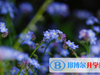 德陽2021年中考成績查詢網址