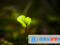 德陽2021年中考成績一般讀什么學校