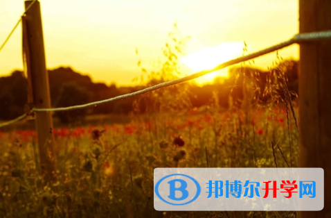 德陽(yáng)2021年中考體育考試成績(jī)查詢