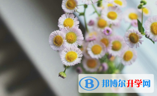 德陽(yáng)2021年中考在哪查詢成績(jī)