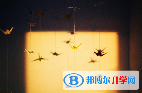 德陽2021年歷年中考重點