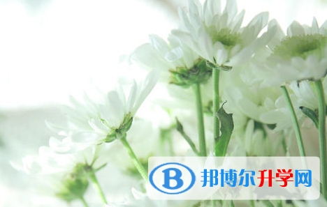 德陽2021年中考服務應用平臺