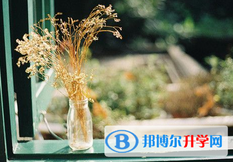 德陽2021年中考考試成績