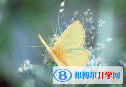 德陽2021年中考錄取行情