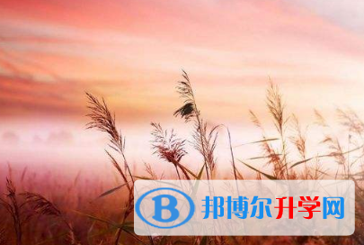 德陽2021年中考錄取結果