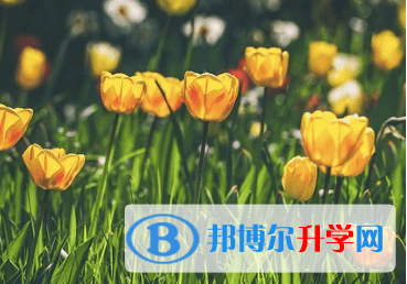 德陽2021年中考沒考上可以復(fù)讀嗎