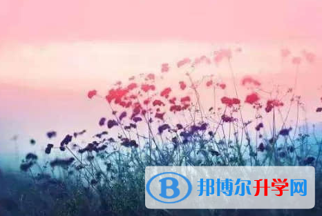 德陽2021年中考難度