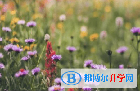 德陽2021年中考升學錄取比例