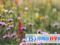 德陽2021年中考升學錄取比例