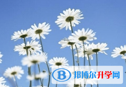 德陽2021年中考生落榜后可不可以選擇復讀