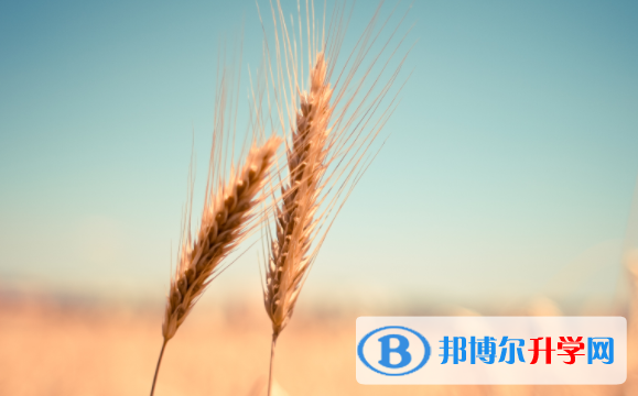 德陽2021年中考失利
