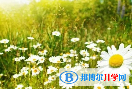 德陽2021年中考填志愿統招和調劑