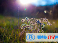 德陽(yáng)2021年中考聽力