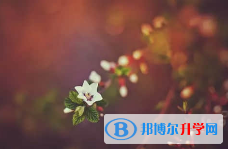 德陽2021年中考網(wǎng)報
