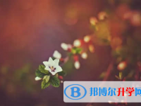 德陽2021年中考網報