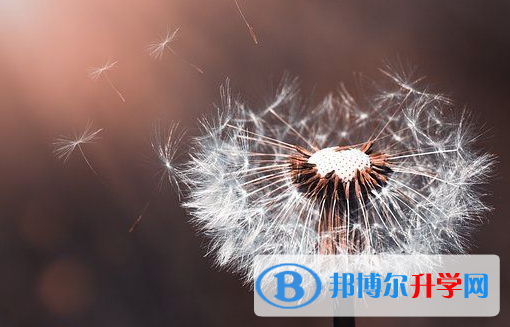 德陽2021年中考網錄取系統