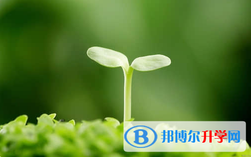 德陽2021年中考網絡應用平臺
