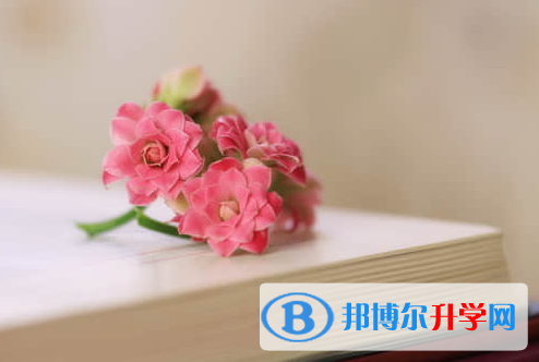 德陽(yáng)2021年中考網(wǎng)上報(bào)考信息平臺(tái)
