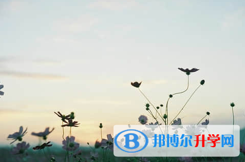 德陽2021年中考網上報名