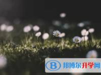 德陽(yáng)2021年中考網(wǎng)上查詢
