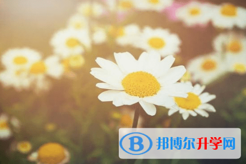 德陽2021年中考招生辦電話